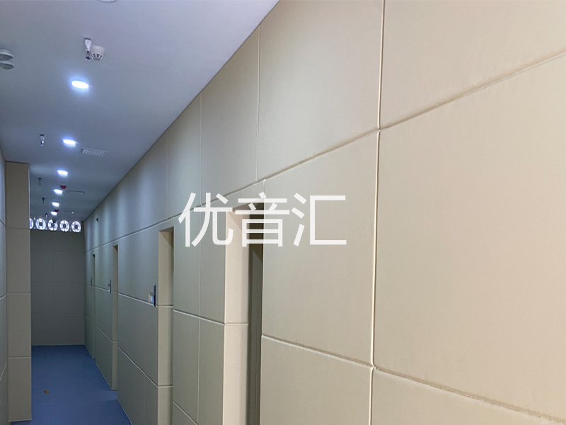 监察委审讯室墙面防撞软包