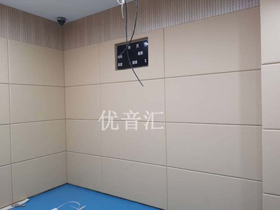 公检法办案区审讯室墙面防撞软包