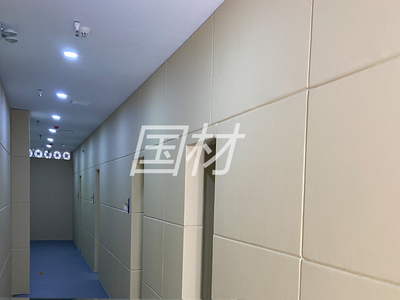 纪委墙面防撞墙软包