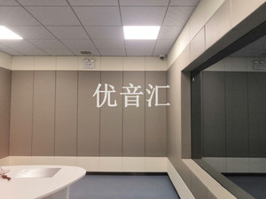 公安局办案区防撞软包工程
