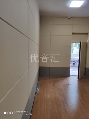 纪委谈话室墙面防撞软包