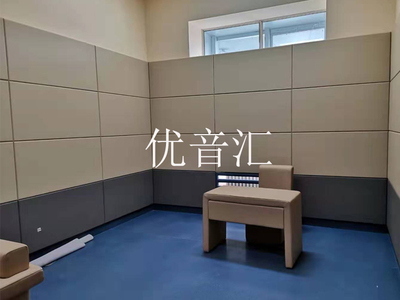 留置室墙面防撞阻燃软包