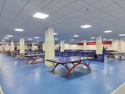 Safety mats for gym walls Column Padding